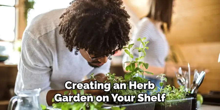 Creating an Herb Garden on Your Shelf