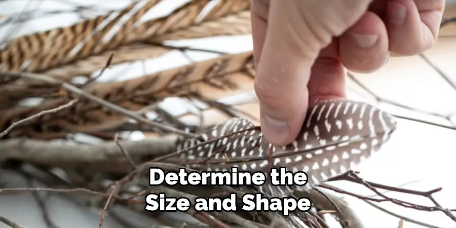 Determine the Size and Shape