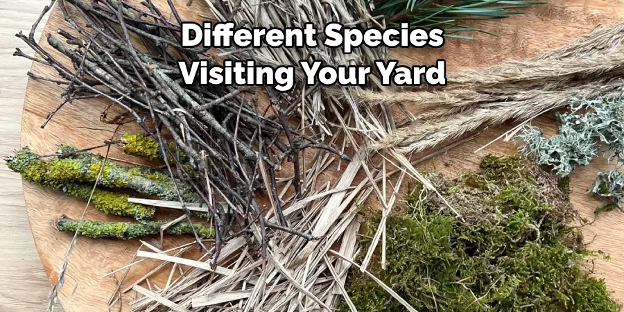 Different Species 
Visiting Your Yard