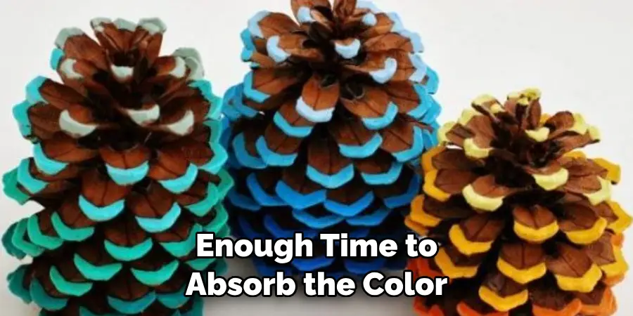 Enough Time to Absorb the Color