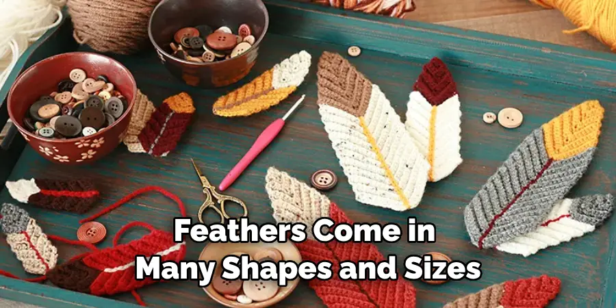 Feathers Come in Many Shapes and Sizes