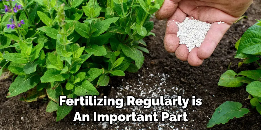 Fertilizing Regularly is 
An Important Part