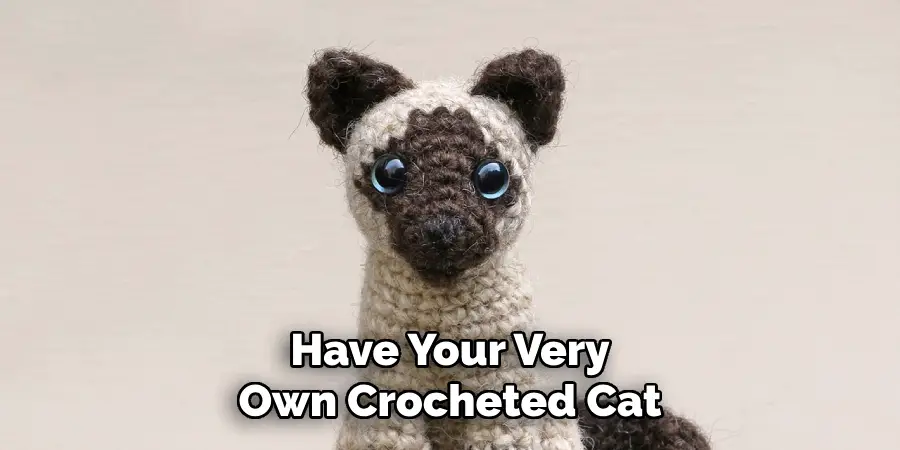 Have Your Very Own Crocheted Cat