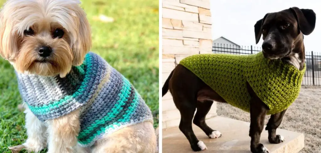 How to Crochet Small Dog Sweater