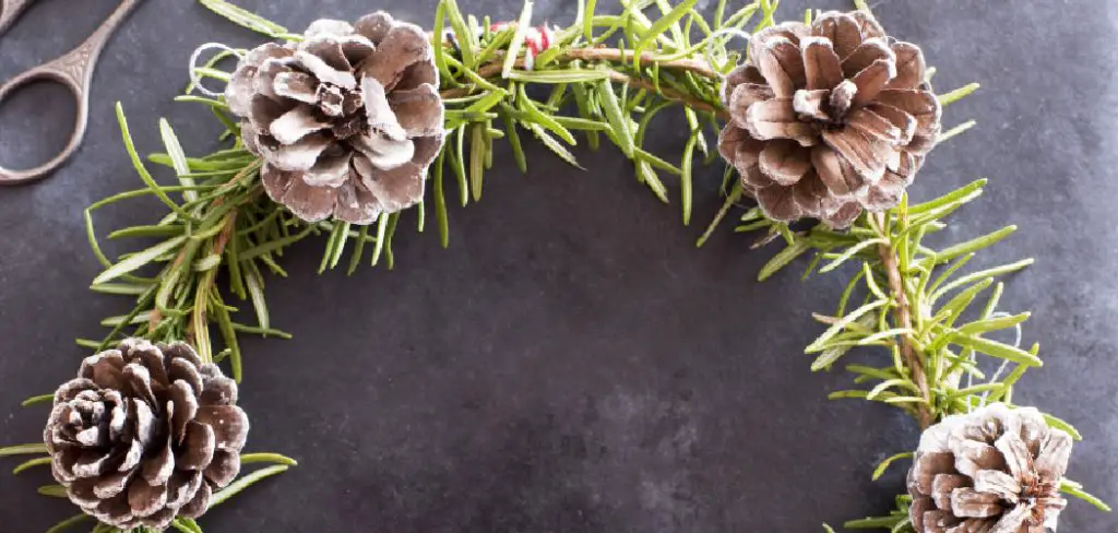 How to Make a Wreath From Pine Cones