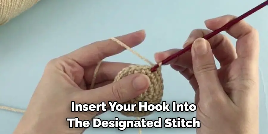 Insert Your Hook Into The Designated Stitch