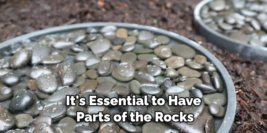  It's Essential to Have
 Parts of the Rocks