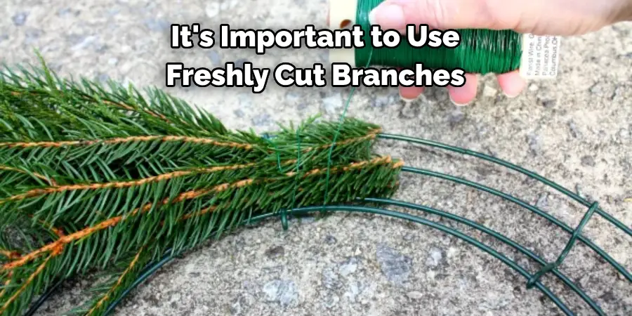 It's Important to Use 
Freshly Cut Branches