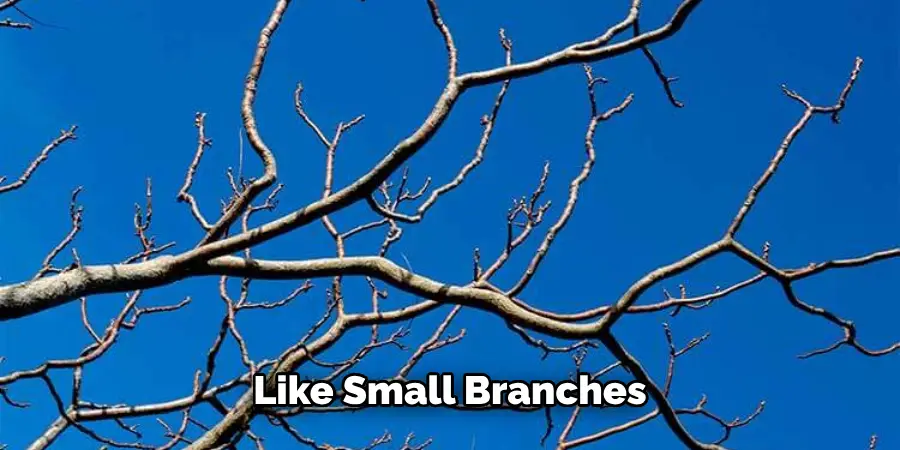  Like Small Branches