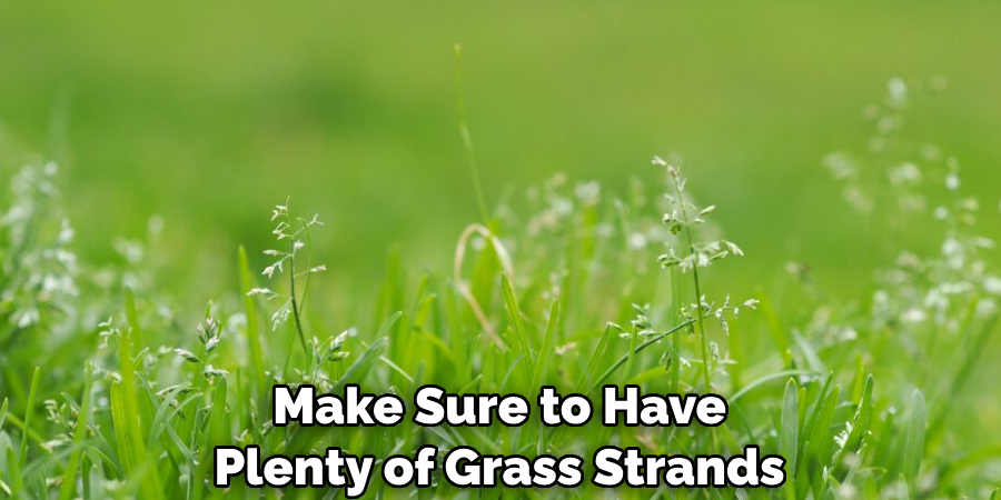 Make Sure to Have 
Plenty of Grass Strands