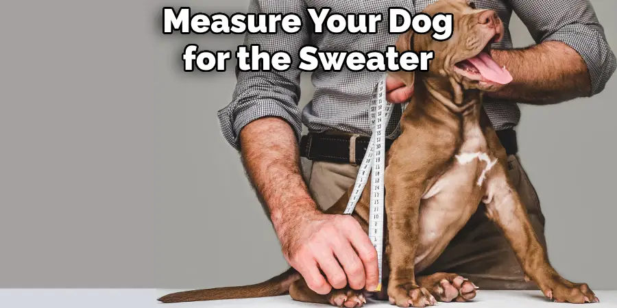 Measure Your Dog for the Sweater