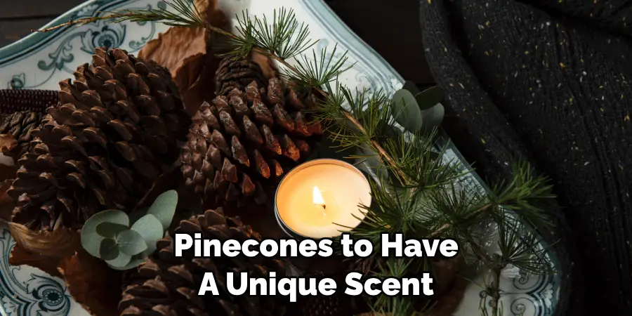 Pinecones to Have A Unique Scent