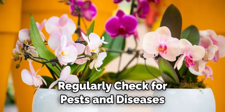 Regularly Check for 
Pests and Diseases