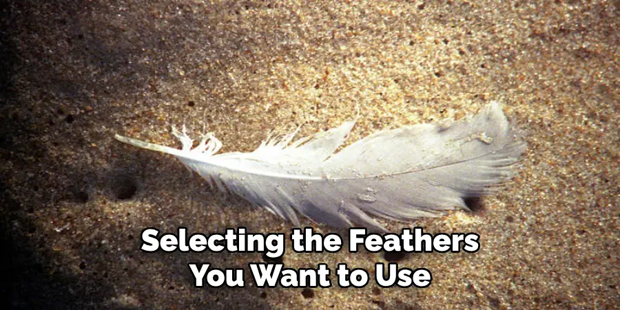 Selecting the Feathers You Want to Use