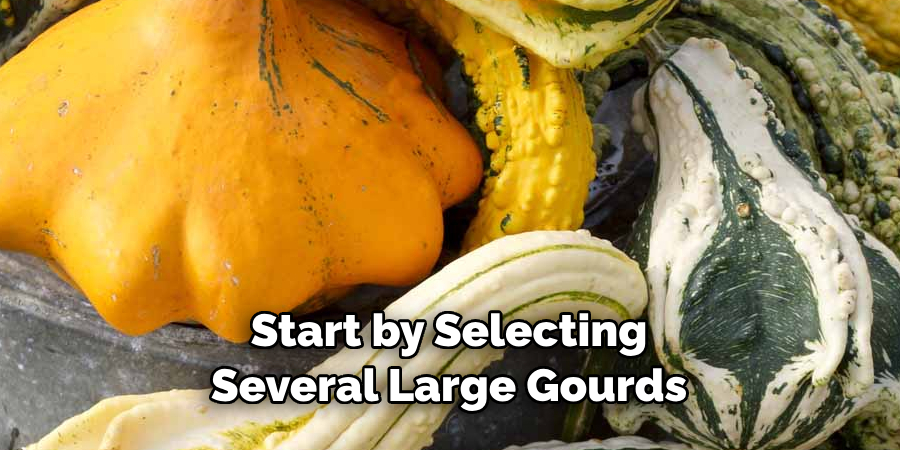 Start by Selecting Several Large Gourds