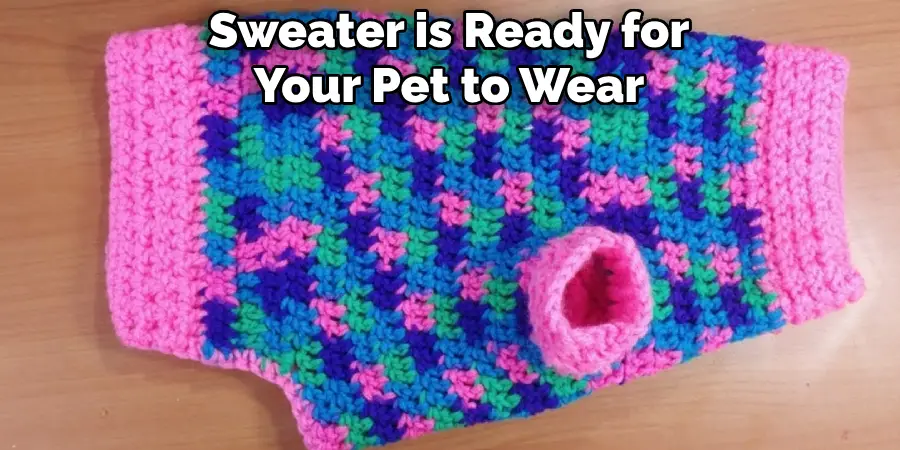 Sweater is Ready for Your Pet to Wear