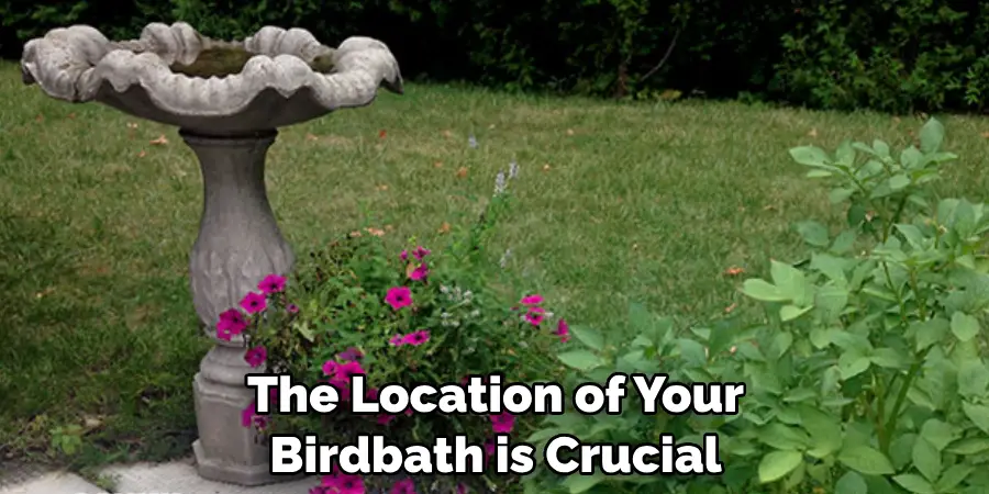 The Location of Your Birdbath is Crucial