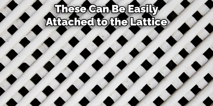 These Can Be Easily Attached to the Lattice