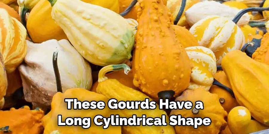 These Gourds Have a Long Cylindrical Shape