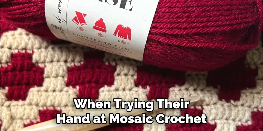 When Trying Their Hand at Mosaic Crochet