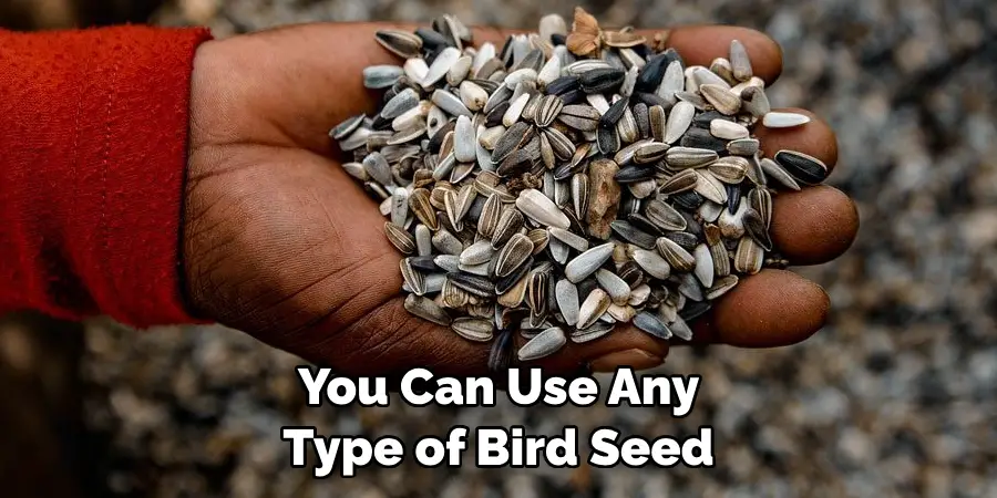 You Can Use Any Type of Bird Seed