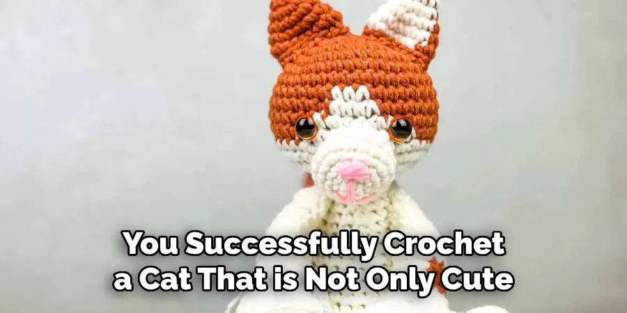 You Successfully Crochet a Cat That is Not Only Cute
