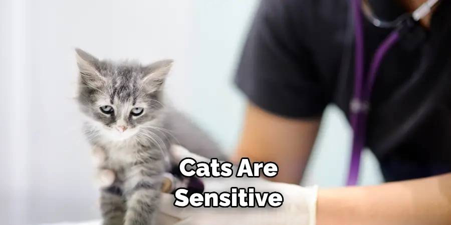 Cats Are Sensitive