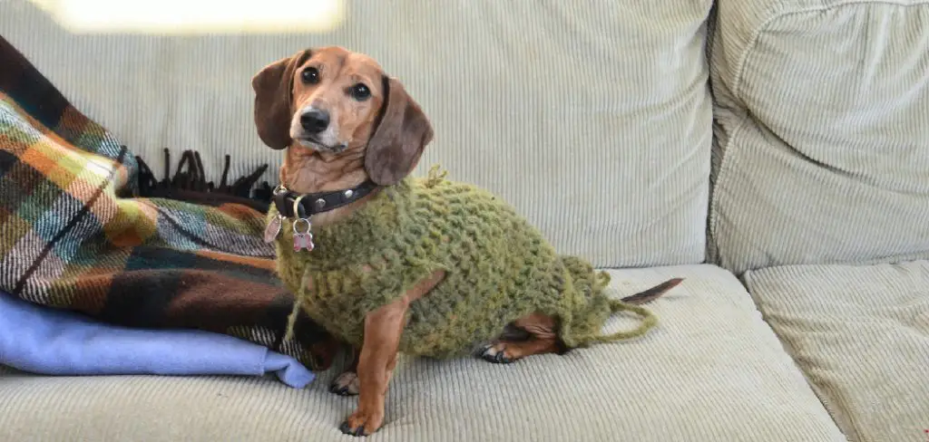 How to Crochet a Puppy Sweater