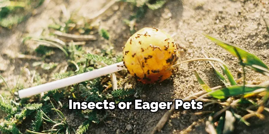 Insects or Eager Pets