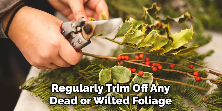 Regularly Trim Off Any Dead or Wilted Foliage