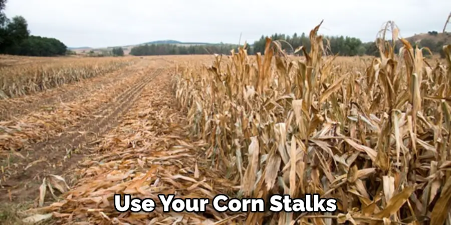 Use Your Corn Stalks 