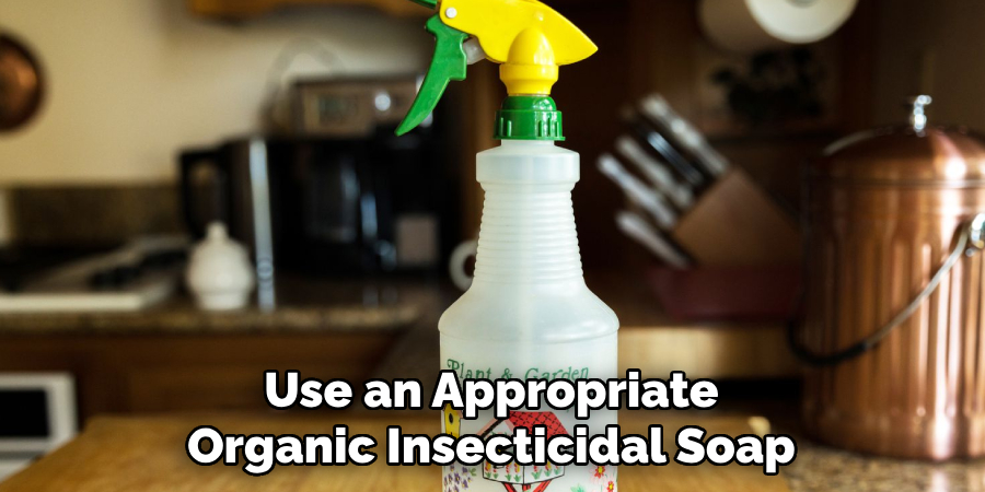 Use an Appropriate Organic Insecticidal Soap