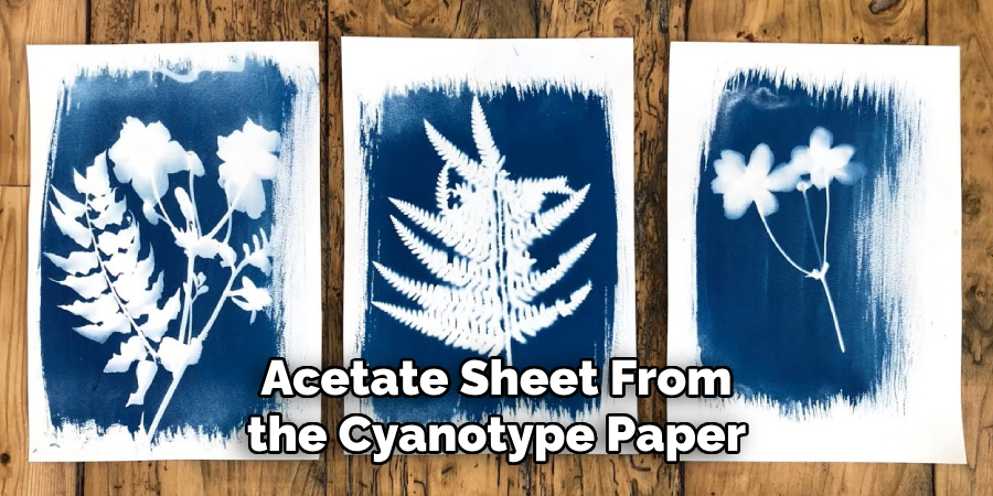 Acetate Sheet From the Cyanotype Paper