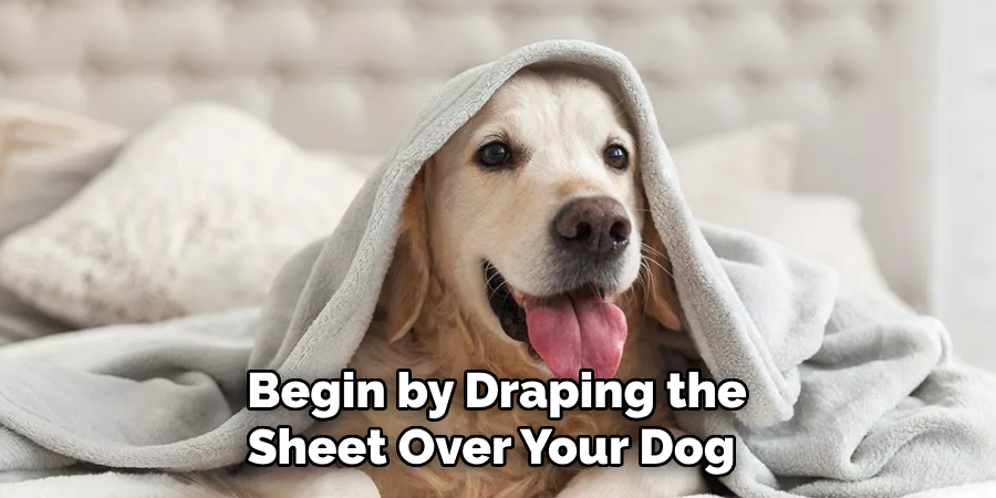 Begin by Draping the Sheet Over Your Dog 