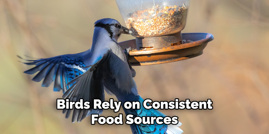 Birds Rely on Consistent Food Sources