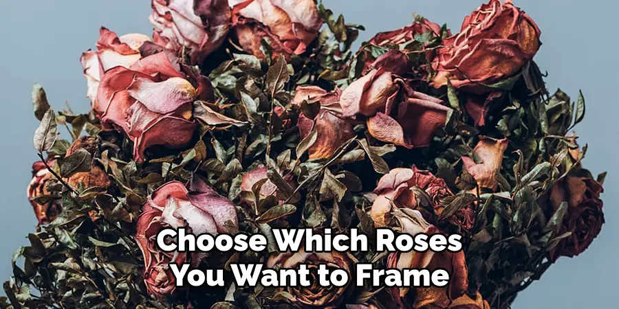 Choose Which Roses You Want to Frame