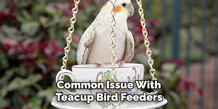 Common Issue With Teacup Bird Feeders