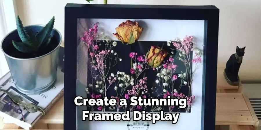 Create a Stunning Framed Display