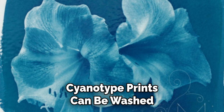 Cyanotype Prints Can Be Washed