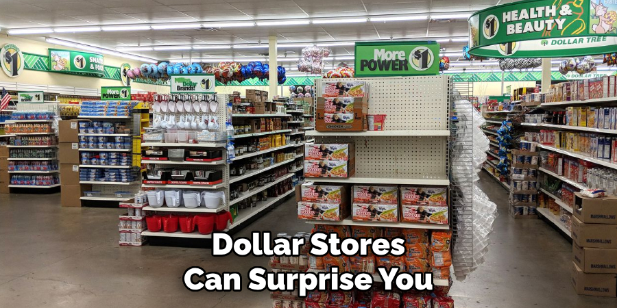 Dollar Stores Can Surprise You