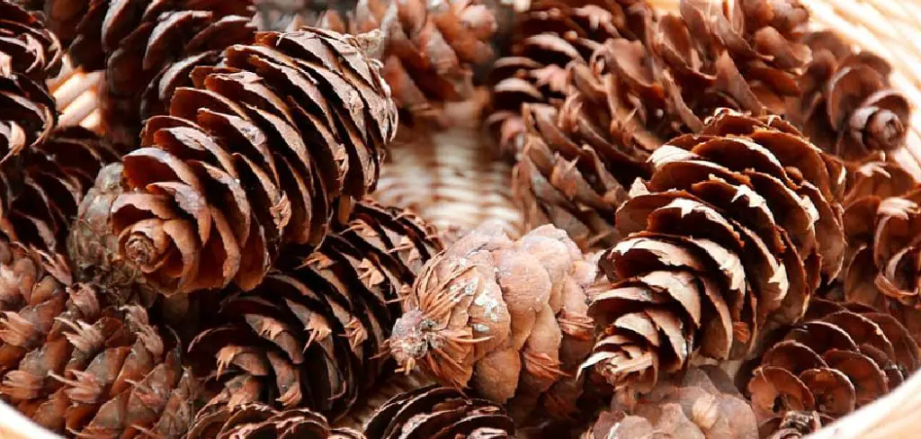 How to Display Scented Pine Cones