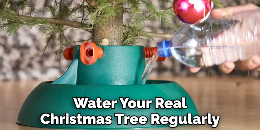 Water Your Real Christmas Tree Regularly