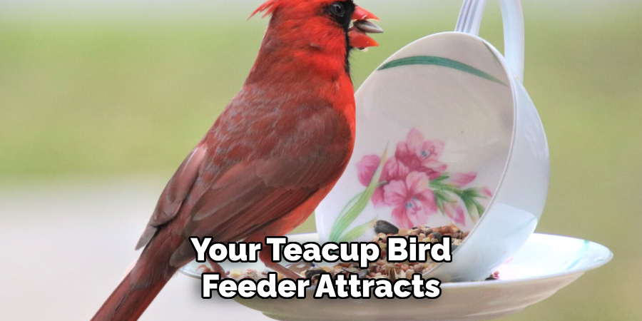 Your Teacup Bird Feeder Attracts