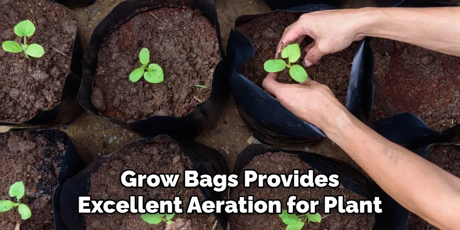Grow Bags Provides Excellent Aeration for Plant