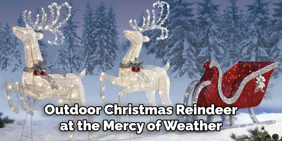 Outdoor Christmas Reindeer at the Mercy of Weather