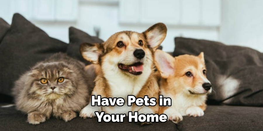 Have Pets in Your Home