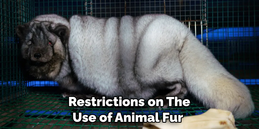 Restrictions on the Use of Animal Fur