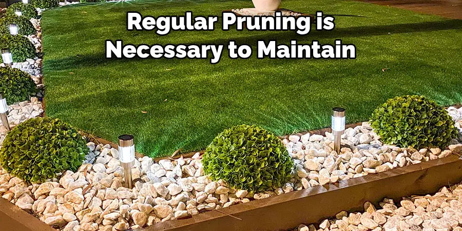 Regular Pruning is Necessary to Maintain