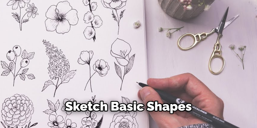 Sketch Basic Shapes