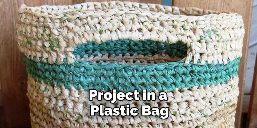 Project in a Plastic Bag